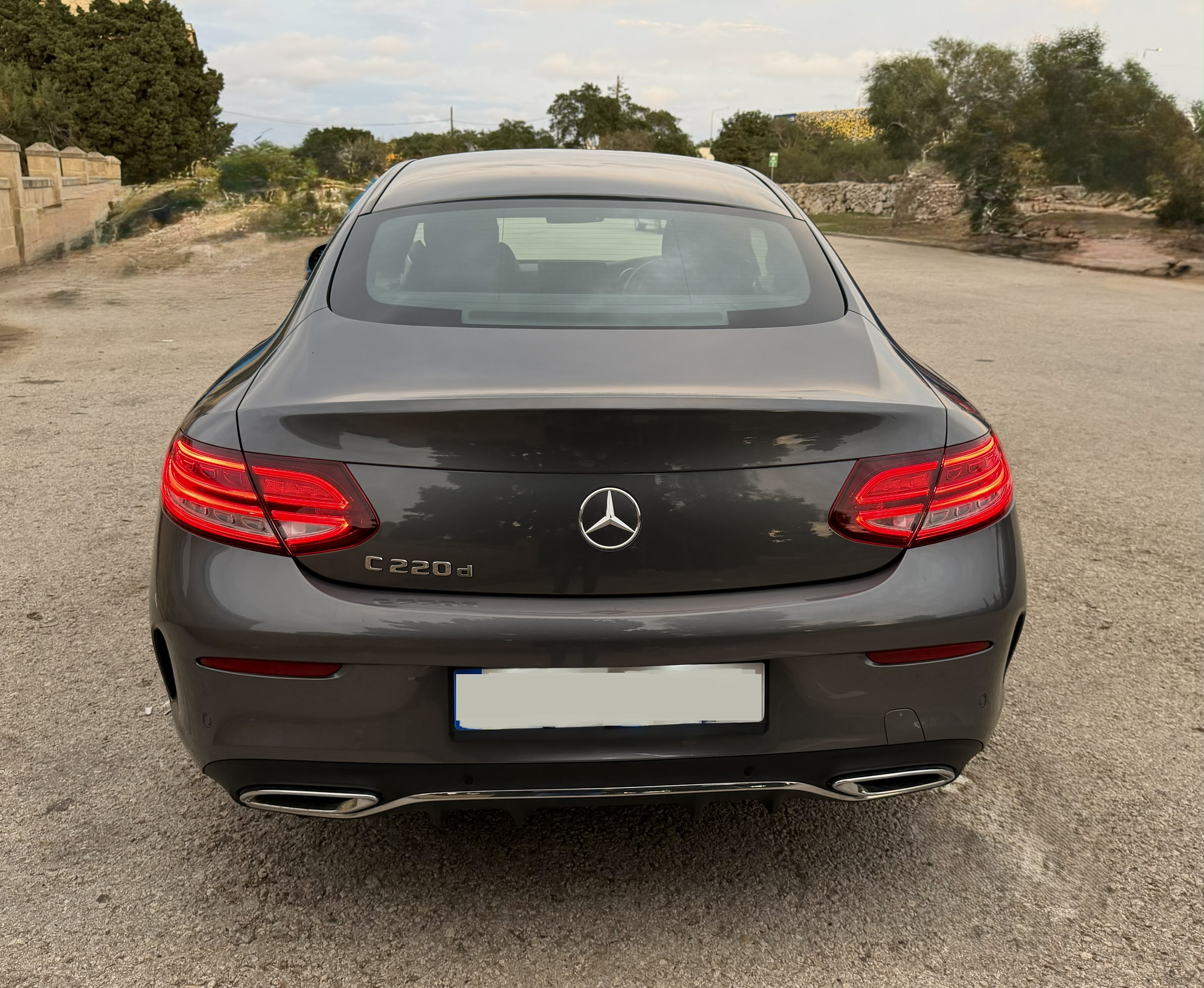 MERCEDES BENZ C220 2018 photo 4